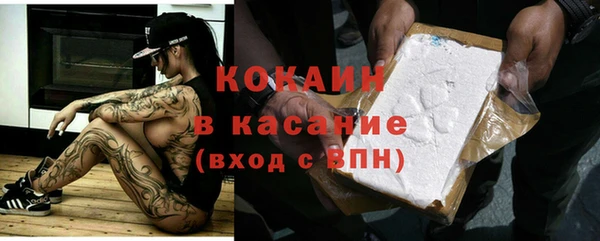 прущие грибы Лихославль