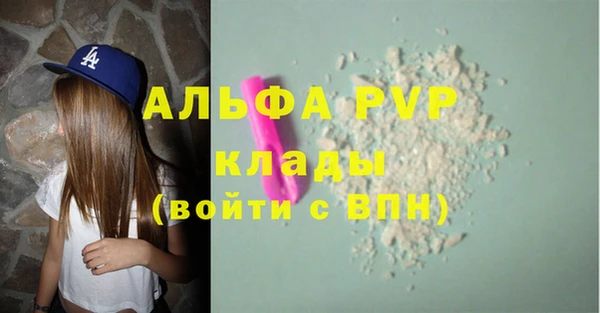 прущие грибы Лихославль