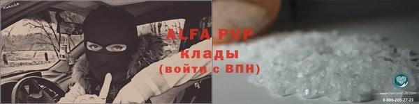 прущие грибы Лихославль
