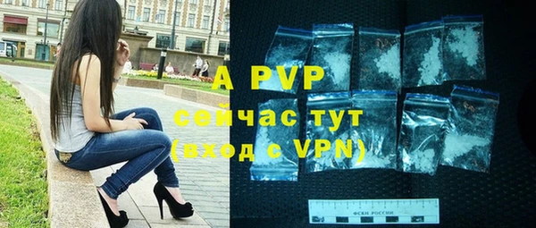прущие грибы Лихославль