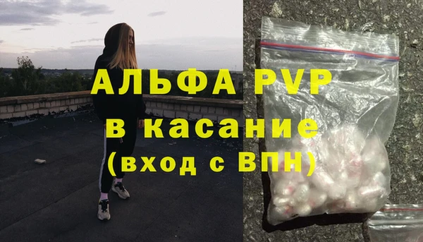 гидра Кострома