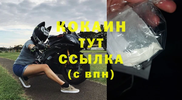 прущие грибы Лихославль