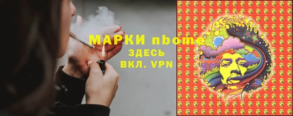 прущие грибы Лихославль