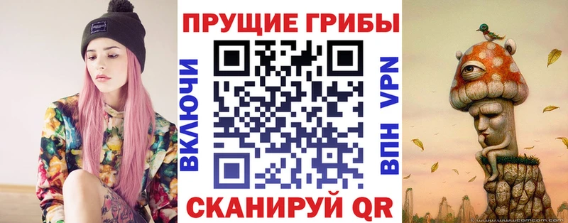 цена   Пермь  Галлюциногенные грибы Cubensis 